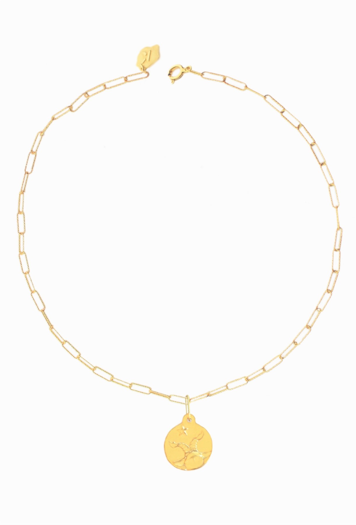 koziorozec-naszyjnik