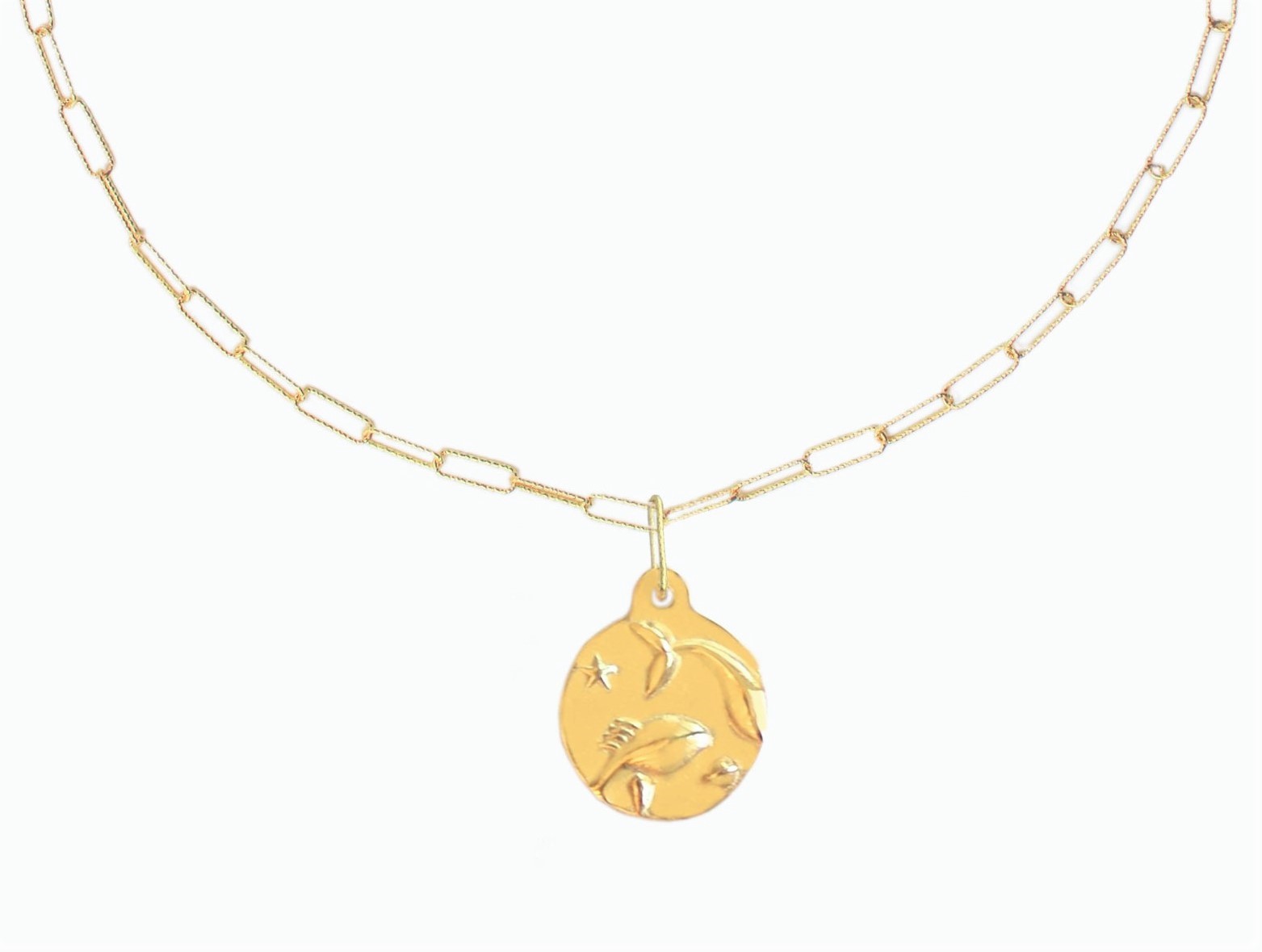 ryby-knaszyjnik ZOOM