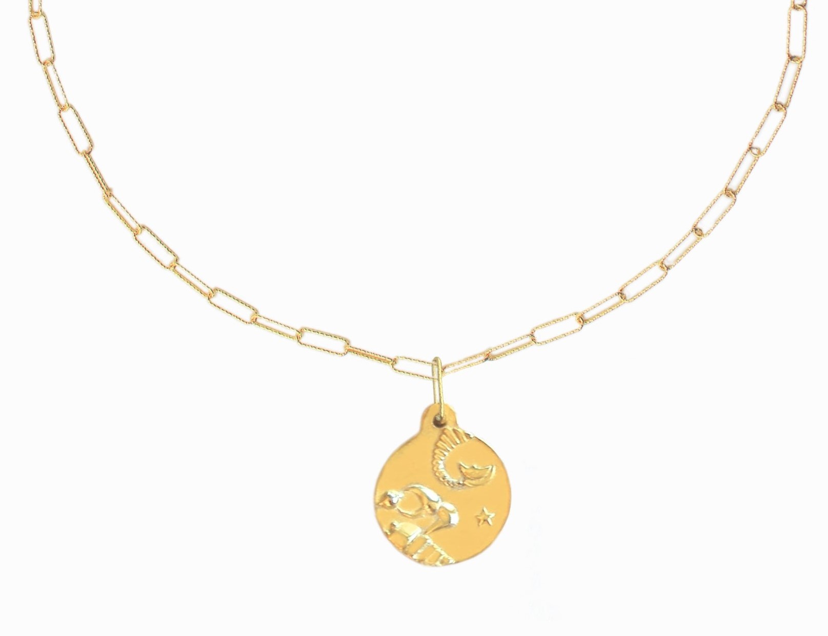 skorpion-knaszyjnik ZOOM