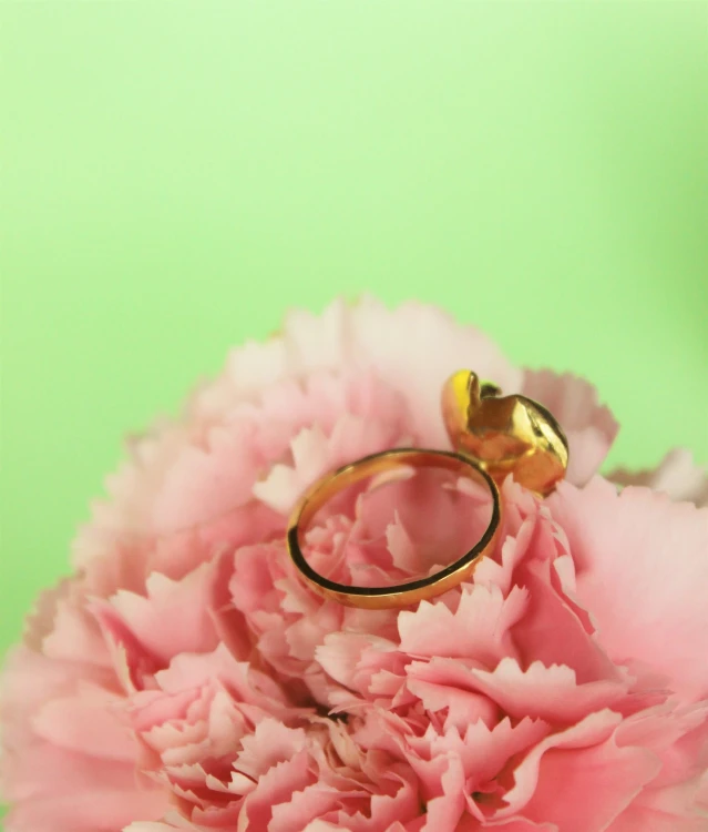 5a.jpg