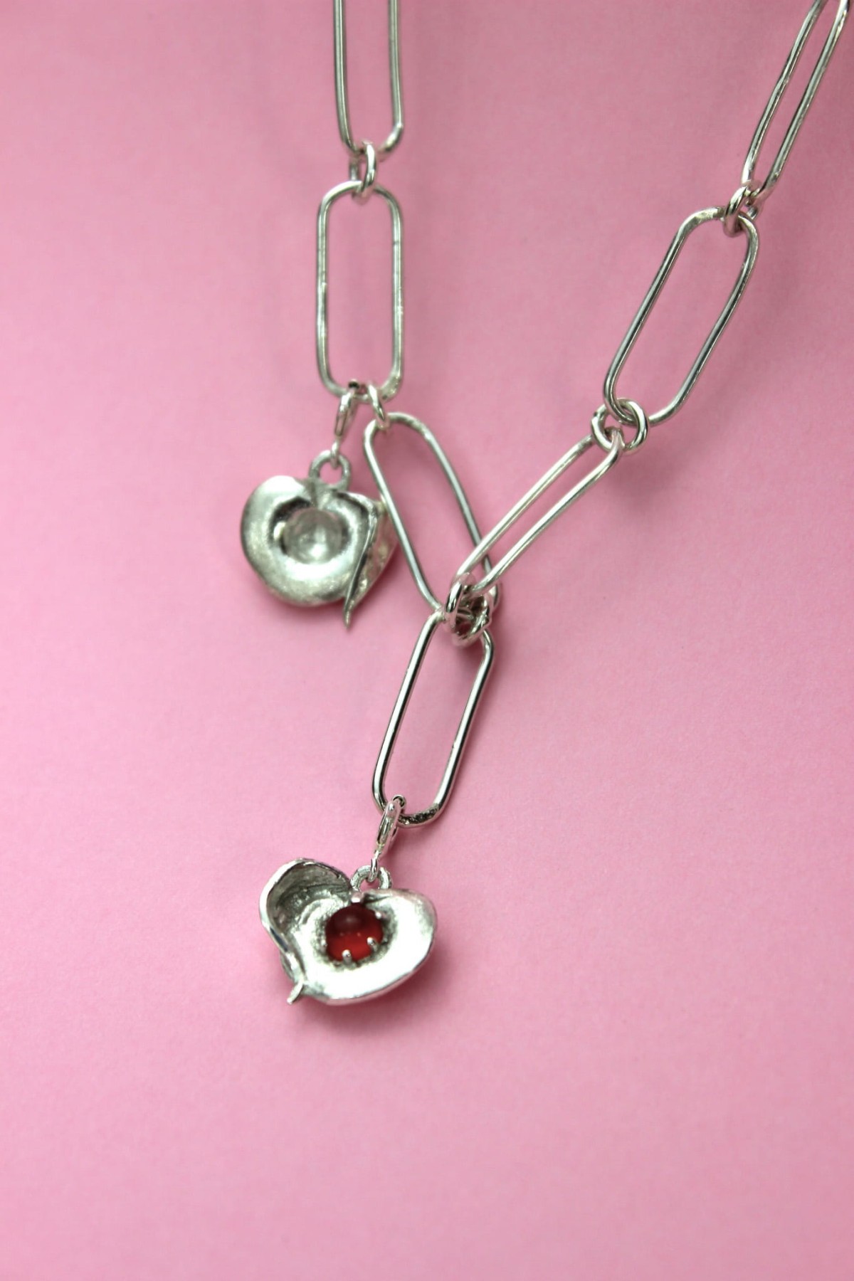 brzoeskiwnie srebrne.PG.JPG