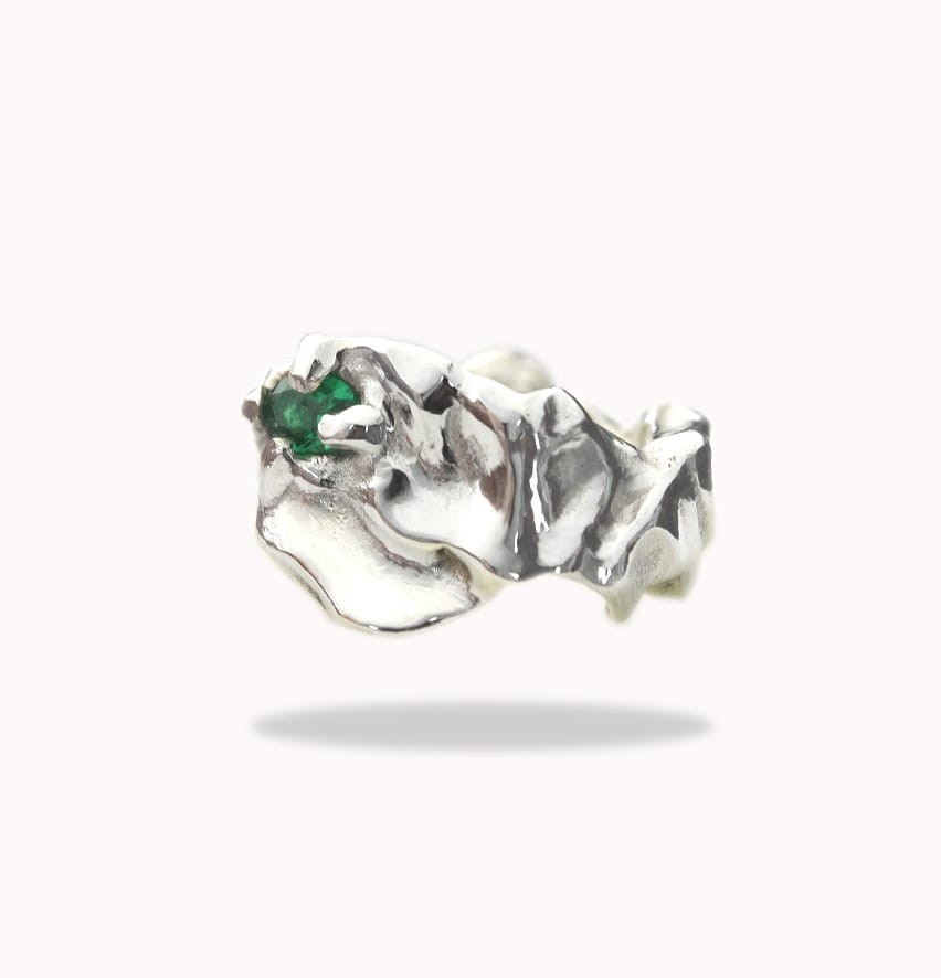 IMG_0930small copy.jpg