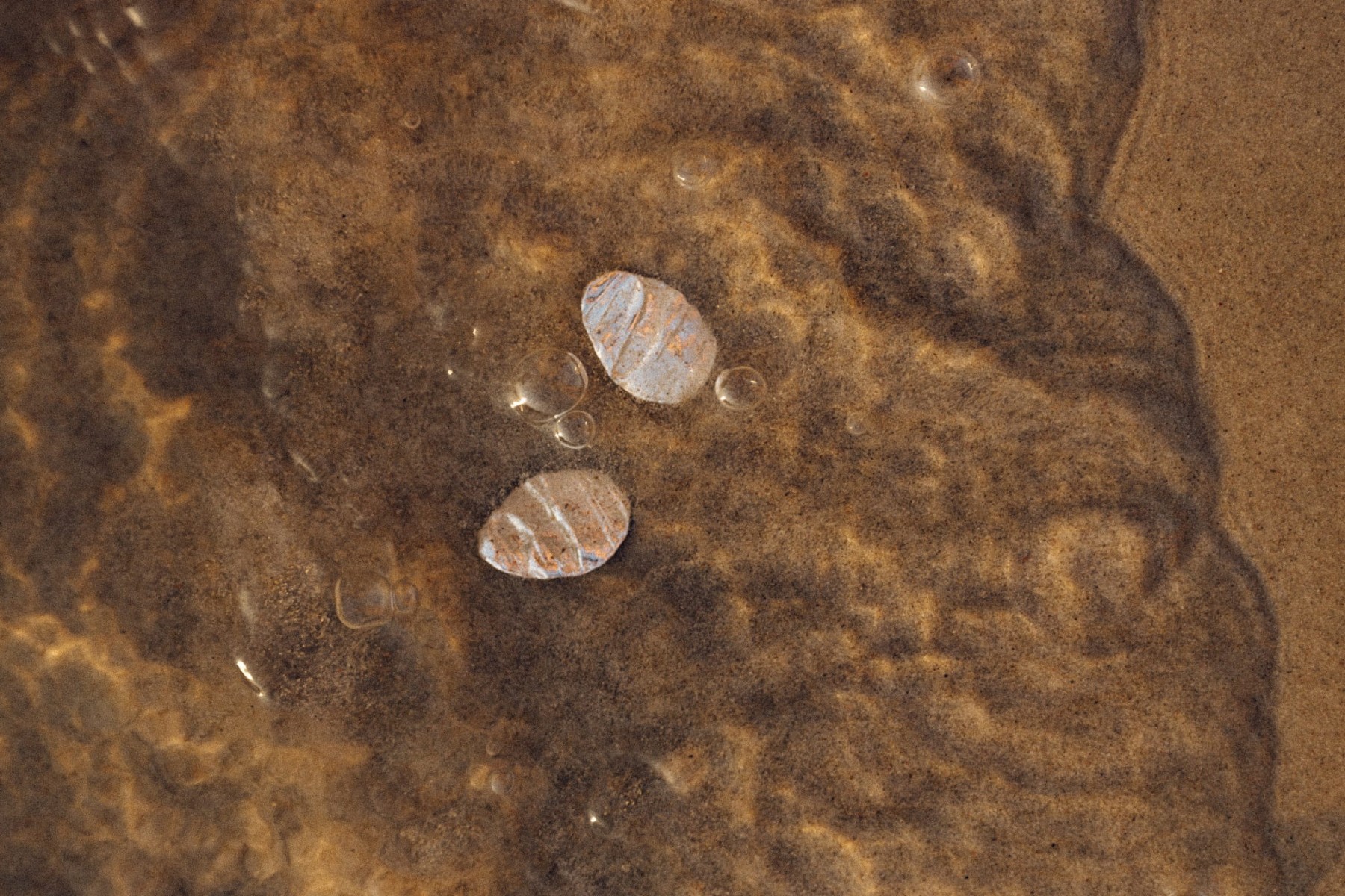 kolczyki sztyfty.jpg