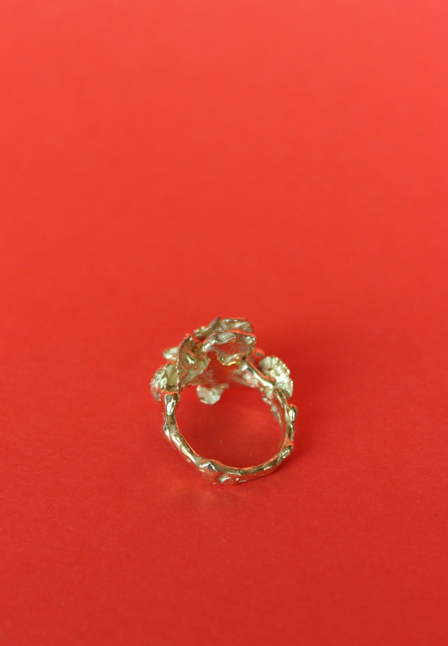 kearpia kwiatami male 3.jpg