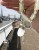 IMG_6070.jpeg